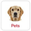 pets